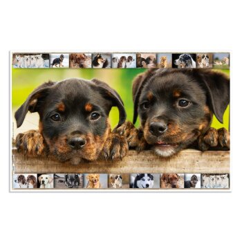 HERMA Schreibunterlage "Hunde", (B)550 x (H)350 mm