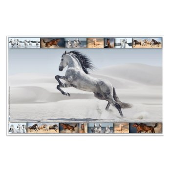 HERMA Schreibunterlage "Pferde", (B)550 x...