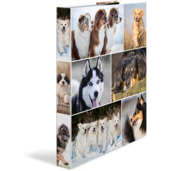 HERMA Ringbuch "Animals" - Hunde, DIN A4, 4-Ring