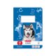 herlitz Schulheft x.book, DIN A5, Lineatur 27 / liniert 16 Blatt