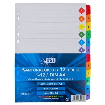 TSI folienverstärkte Kartonregister 12-teilig DIN A4