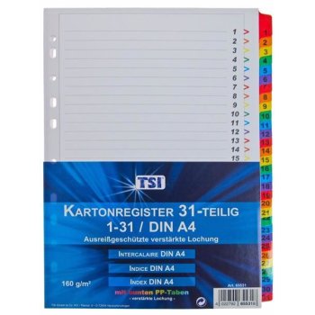 TSI folienverstärktes Kartonregister 31-teilig DIN A4