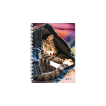 herlitz Spiralbuch A5 120 Blatt Katze