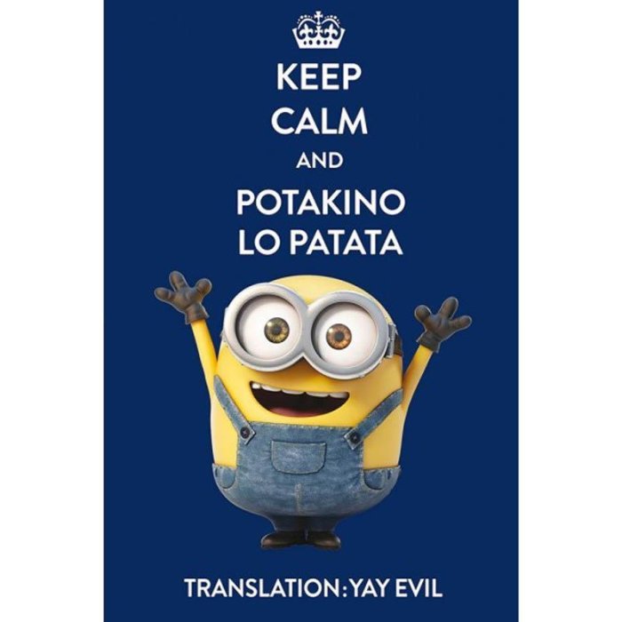 MINIONS Fleecová-deka "KEEP CALM AND POTAKINO LO PATATA"