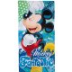 Disney Pl&aacute;žov&aacute; osu&scaron;ka / osu&scaron;ka &quot;Disney Mickey Mouse - Fantastic&quot;