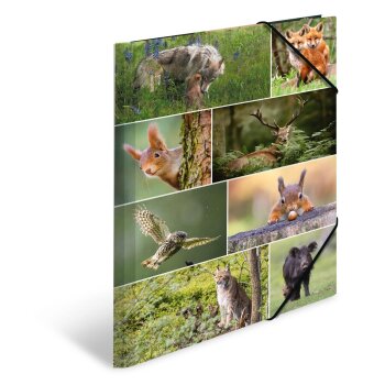 HERMA Eckspannermappe "Waldtiere", Karton, DIN A3