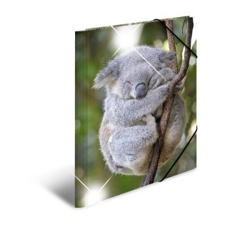 HERMA Eckspannermappe "Koala", PP Glossy, DIN A3