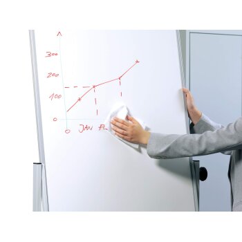 DURABLE Weißwandtafel-Reinigunstücher WHITEBOARD box
