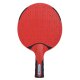DONIC SCHILDKRÖT Tischtennis-Set "Outdoor Weatherproof"