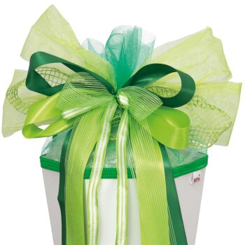 ROTH XXL-Schultütenschleife "Green...