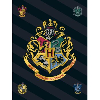 Kuscheldecke / Fleecedecke 100 x 140 cm Harry Potter
