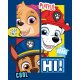 Kuscheldecke / Fleecedecke 100 x 140 cm Paw Patrol always Brave