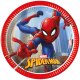 Party Pappteller 20 cm 8 Stück "Spiderman" Crime Fighter