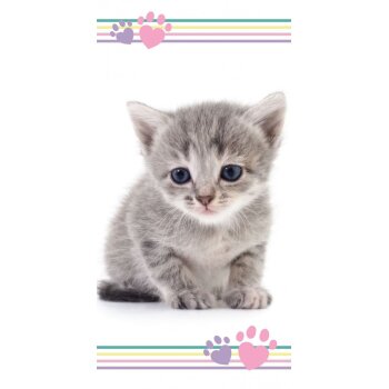 Strandtuch / Badetuch Katze