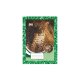 MIRA Schulheft A5 kariert 5x5 mm 40 Blatt (545)