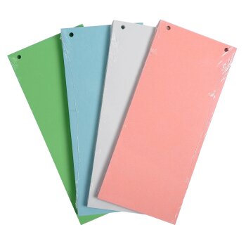 EXACOMPTA Trennstreifen Recycling, 105 x 240 mm, sortiert