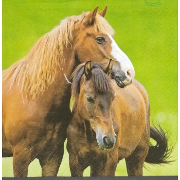ti-flair Servietten 33 x 33 cm 20 Stück Pferd