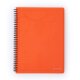 oxybag Krúžkový blok A4 PP linajkovaný 60 listov NEO COLORI oranžový
