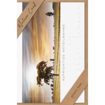 bsb Nature Card Trauer - Aufrichtige Anteilnahme Baum