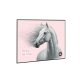 oxybag Zahlenlernmappe Horse Girl