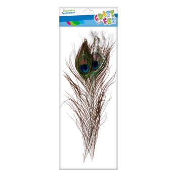 Craft with Fun Pfauenfeder 32 cm 2 Stück
