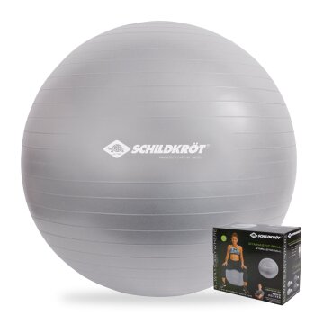 SCHILDKRÖT Gymnastikball, Durchmesser: 650 mm, silber