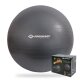 SCHILDKRÖT Gymnastikball, Durchmesser: 750 mm, anthrazit