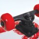 SCHILDKRÖT Skateboard Grinder 31" Wolf