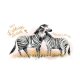 Green Karma Grußkarte Liebe/Freundschaft "Zebra-Umarmung"